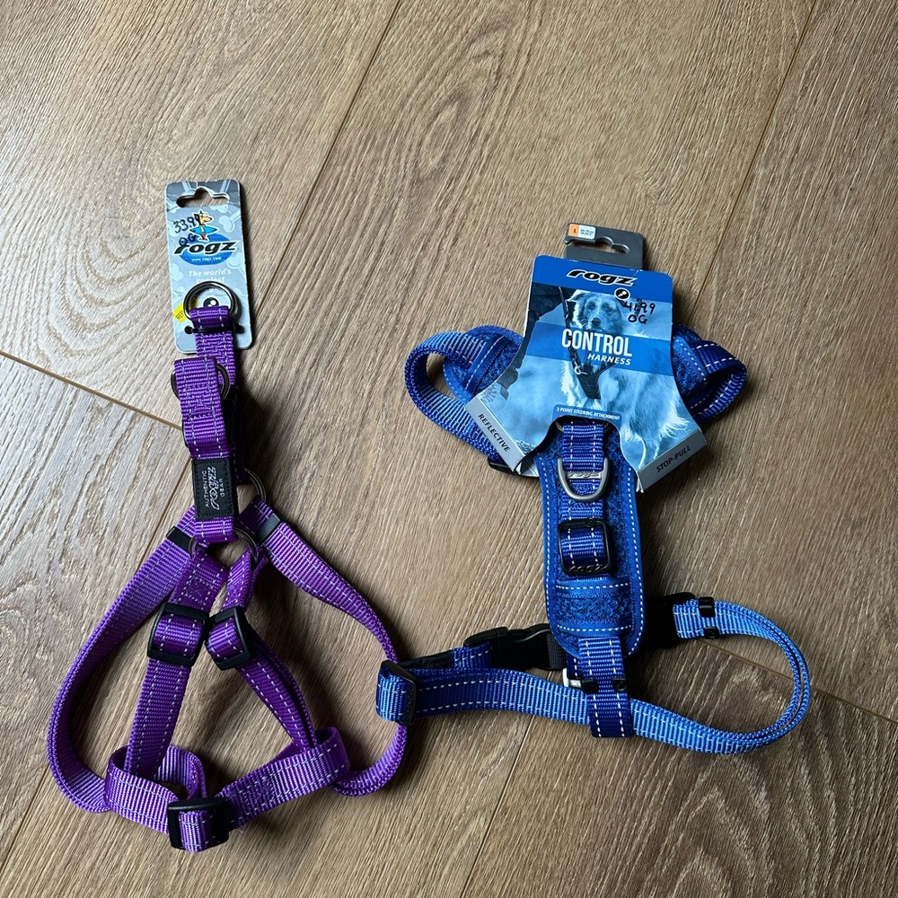 Purple and Blue Dog Harness Set